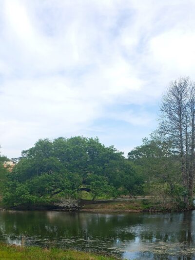 Langan Park - Mobile, AL