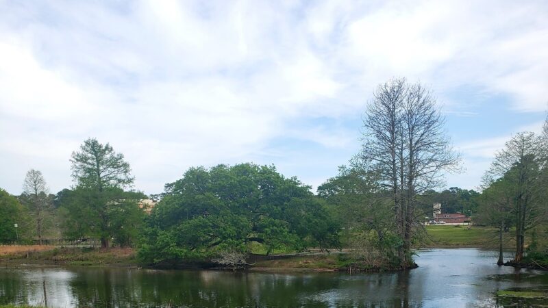 Langan Park - Mobile, AL