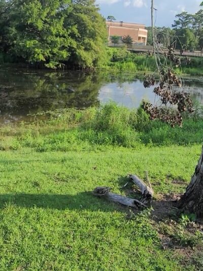 Langan Park - Mobile, AL