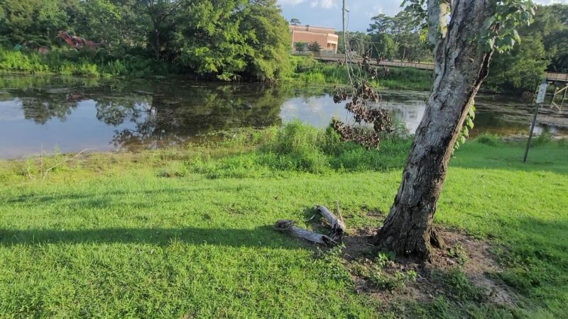 Langan Park - Mobile, AL