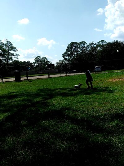 Public Safety Memorial Park - Mobile, AL