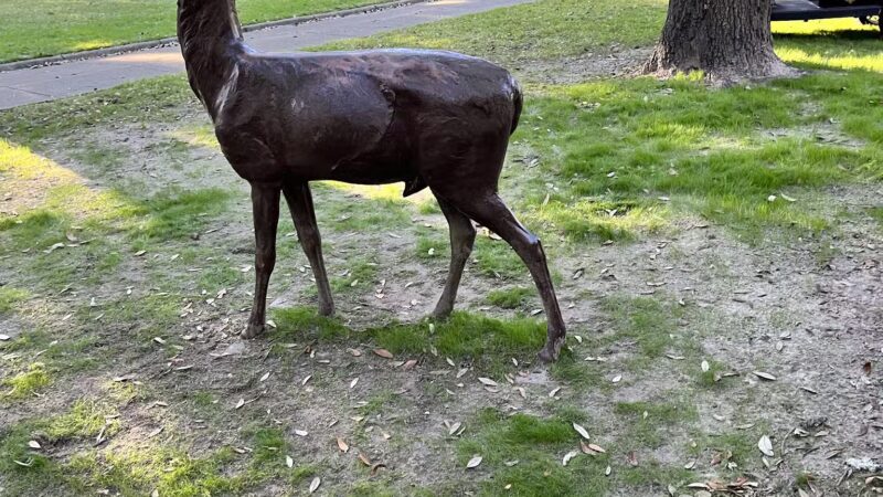 Washington Square Park - Mobile, AL