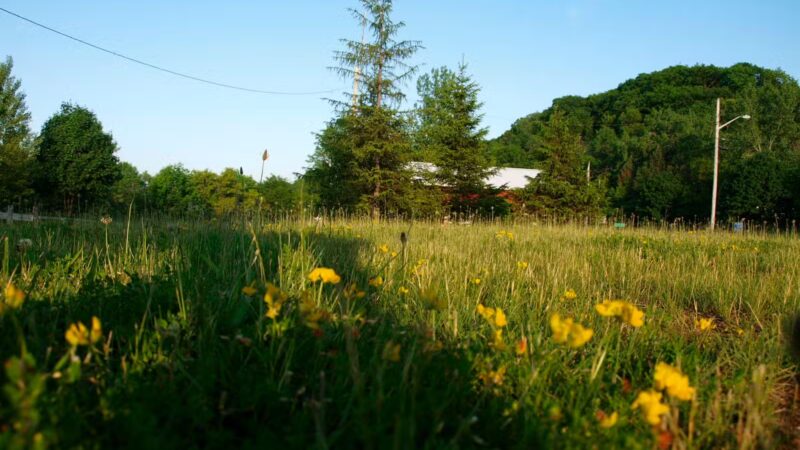 Mohawk To Fort Herkimer Bike Path - Mohawk, NY