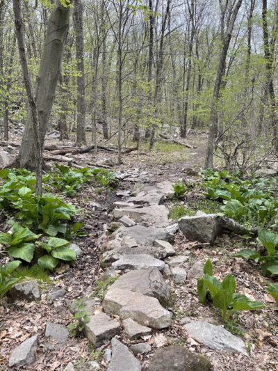 Sylvan Glen Park Preserve - Mohegan Lake, NY