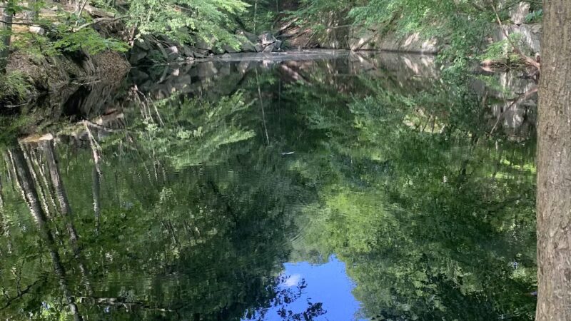 Sylvan Glen Park Preserve - Mohegan Lake, NY
