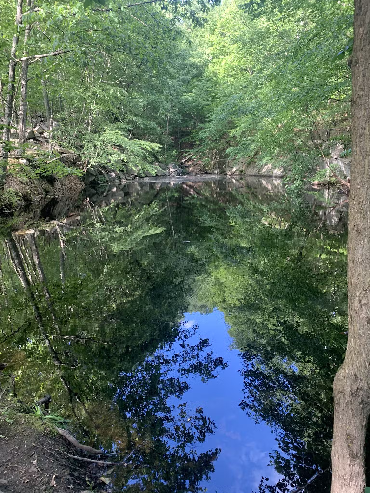 Sylvan Glen Park Preserve - Mohegan Lake, NY