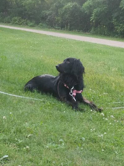 Tourist Park - Mondovi, WI