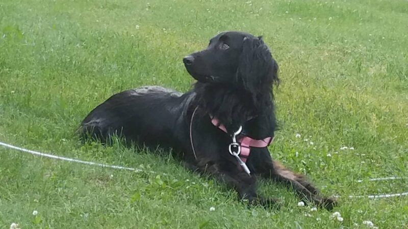 Tourist Park - Mondovi, WI