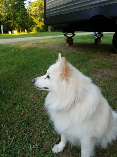 Tourist Park - Mondovi, WI