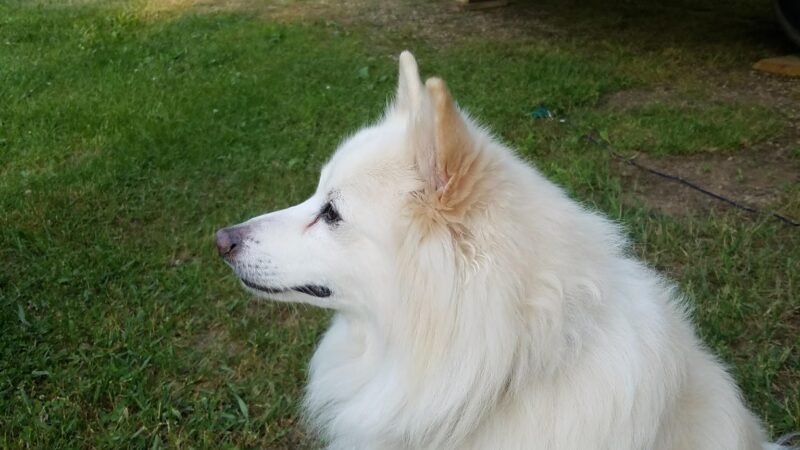 Tourist Park - Mondovi, WI