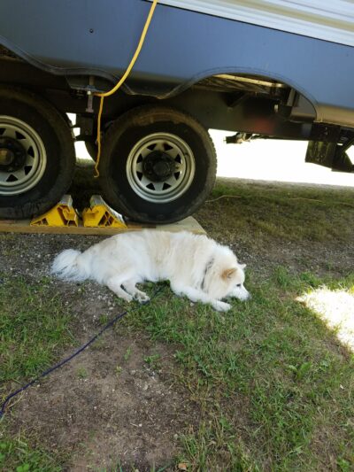 Tourist Park - Mondovi, WI