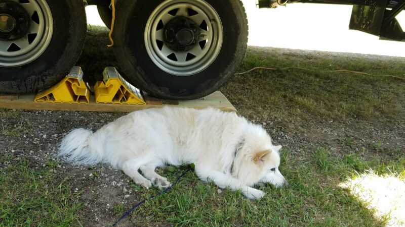 Tourist Park - Mondovi, WI
