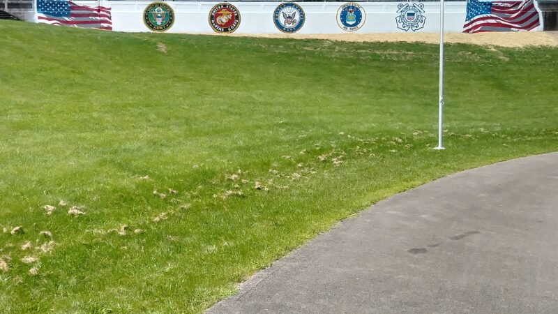 9th Street Park - Monessen, PA