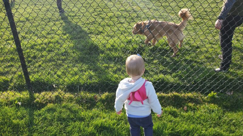 Monmouth Dog Park - Monmouth, OR