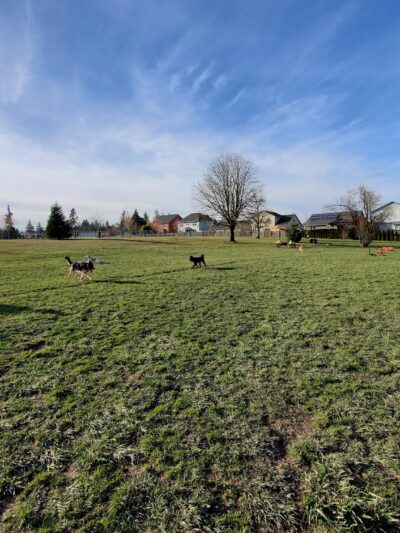 Monmouth Dog Park - Monmouth, OR