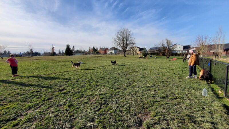 Monmouth Dog Park - Monmouth, OR