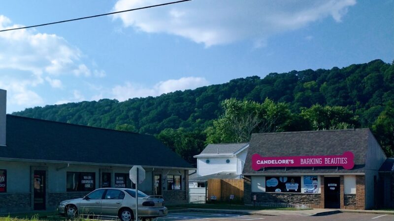 Candelore's Barking Beauties Monongahela - Monongahela, PA
