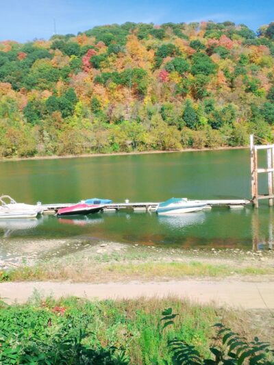 Monongahela Aquatorium - Monongahela, PA