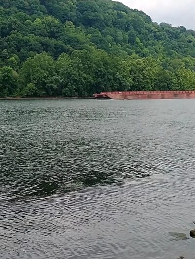 Monongahela Aquatorium - Monongahela, PA