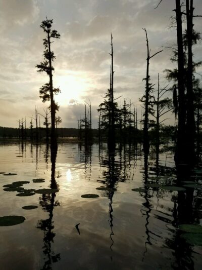 Black Bayou Lake National Wildlife Refuge Visitor Center - Monroe, LA