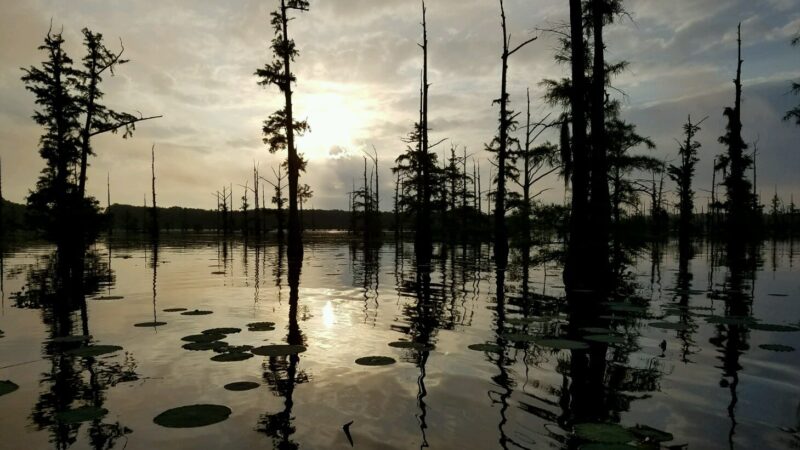 Black Bayou Lake National Wildlife Refuge Visitor Center - Monroe, LA