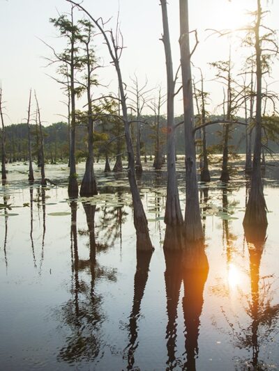 Black Bayou Lake National Wildlife Refuge Visitor Center - Monroe, LA