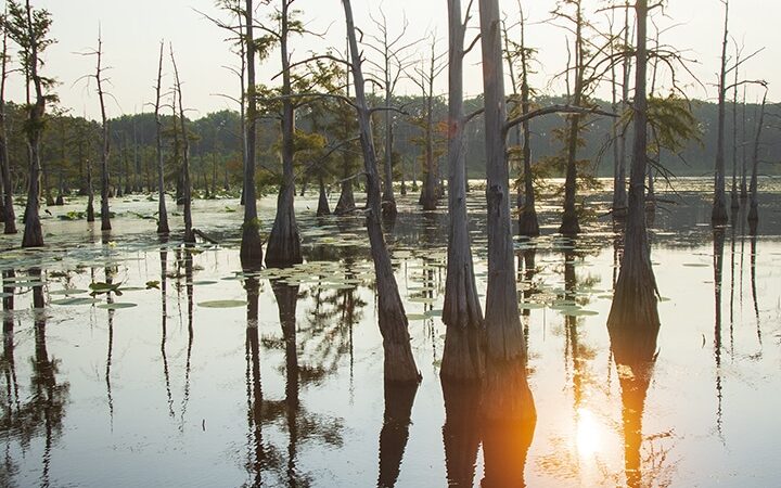 Black Bayou Lake National Wildlife Refuge Visitor Center - Monroe, LA