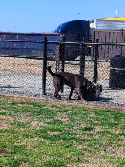 Dog Park at Love's Travel Stops - Monroe, LA