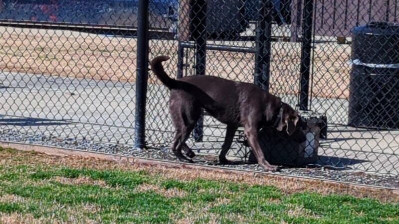 Dog Park at Love's Travel Stops - Monroe, LA