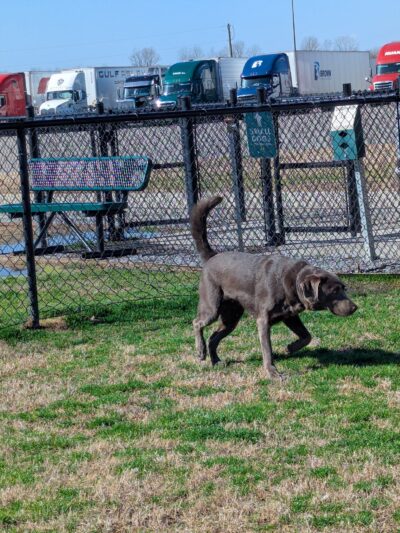 Dog Park at Love's Travel Stops - Monroe, LA