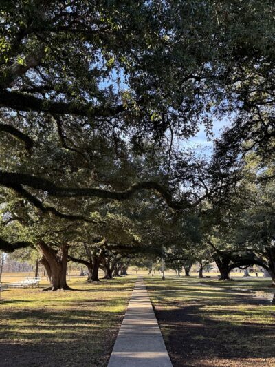 Forsythe Park - Monroe, LA