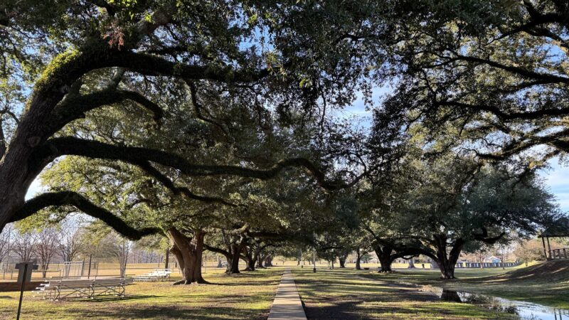 Forsythe Park - Monroe, LA