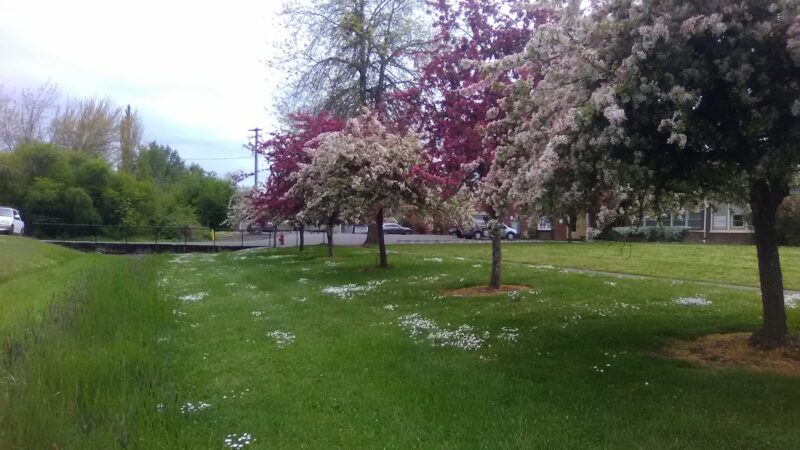 City Park - Monroe, OR