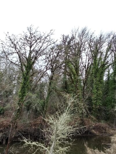 City Park - Monroe, OR