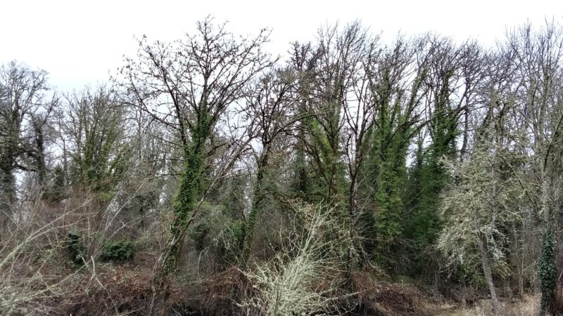 City Park - Monroe, OR