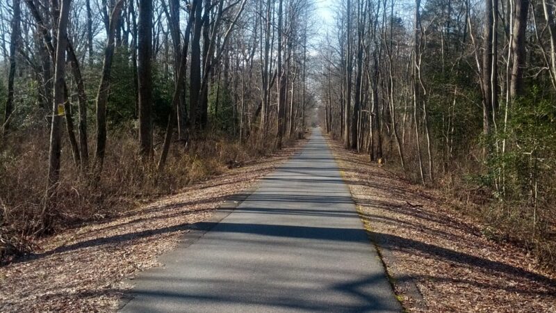 Bike Park - Monroeville, NJ