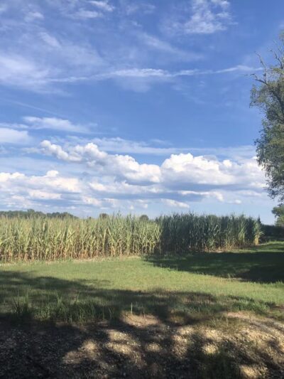 Bike Park - Monroeville, NJ