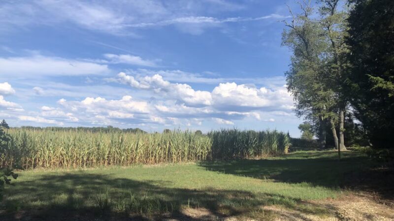 Bike Park - Monroeville, NJ