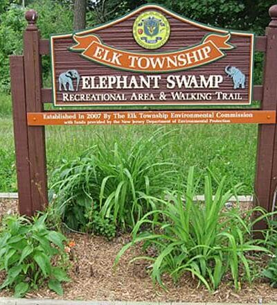 Elephant Swamp Nature Trail - Monroeville, NJ