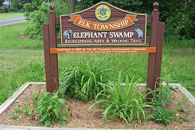 Elephant Swamp Nature Trail - Monroeville, NJ