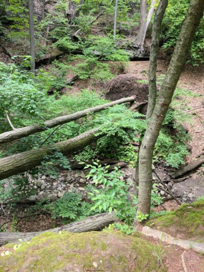 Monsey Glen County Park - Monsey, NY