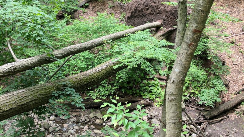 Monsey Glen County Park - Monsey, NY