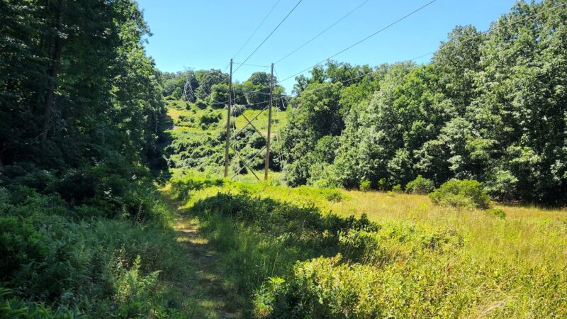 Monsey Glen County Park - Monsey, NY