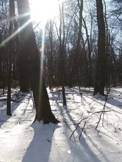 Monsey Glen County Park - Monsey, NY