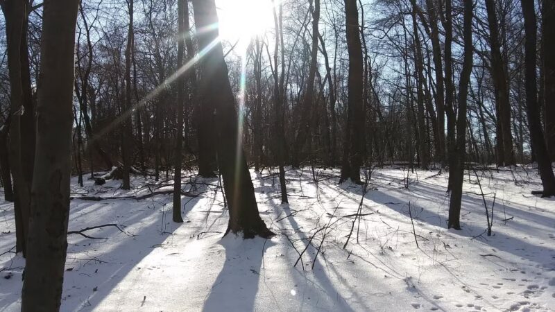 Monsey Glen County Park - Monsey, NY