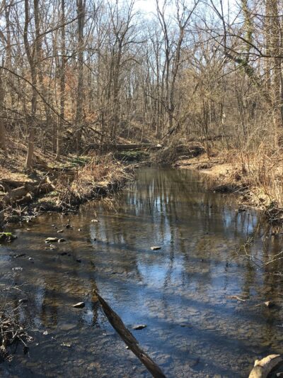Alonzo F Bonsal Wildlife Preserve - Montclair, NJ