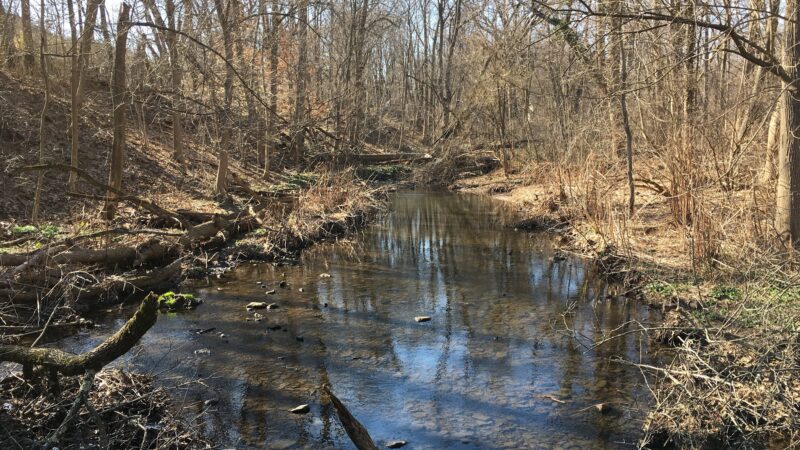 Alonzo F Bonsal Wildlife Preserve - Montclair, NJ