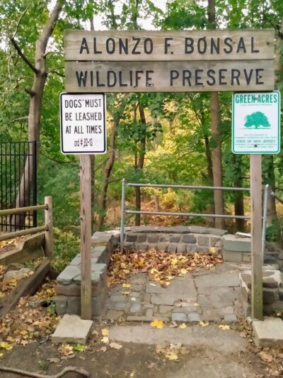 Alonzo F Bonsal Wildlife Preserve - Montclair, NJ