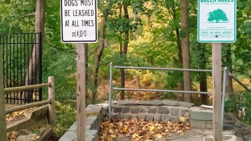 Alonzo F Bonsal Wildlife Preserve - Montclair, NJ