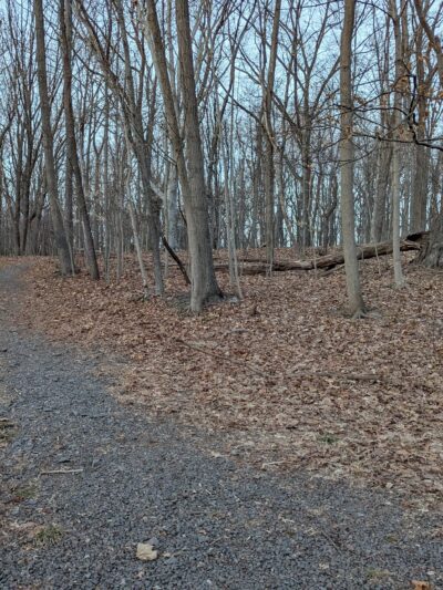 Alonzo F Bonsal Wildlife Preserve - Montclair, NJ